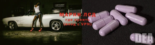 ешки Белокуриха