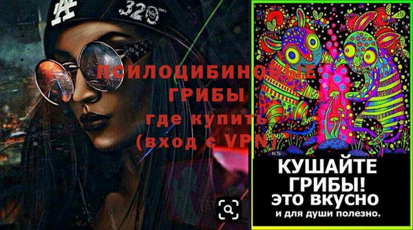 ешки Белокуриха