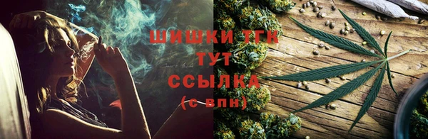 ешки Белокуриха