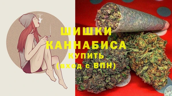 ешки Белокуриха